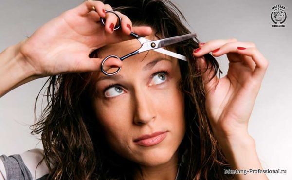Как выбрать ножницы для стрижки волос в домашних условиях?
