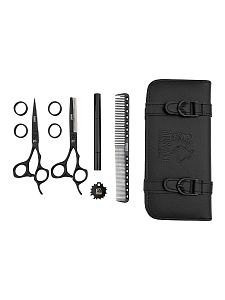 Набор ножниц Mustang Professional POINT NP-02 Чёрный 5,5 дюйм